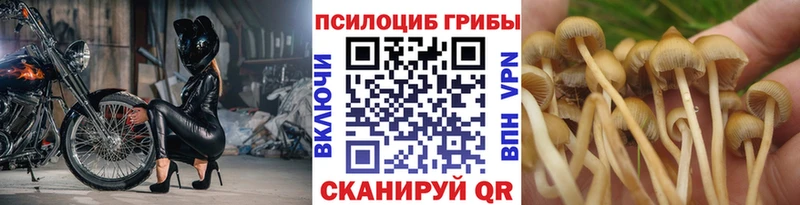 Галлюциногенные грибы мицелий  Партизанск 